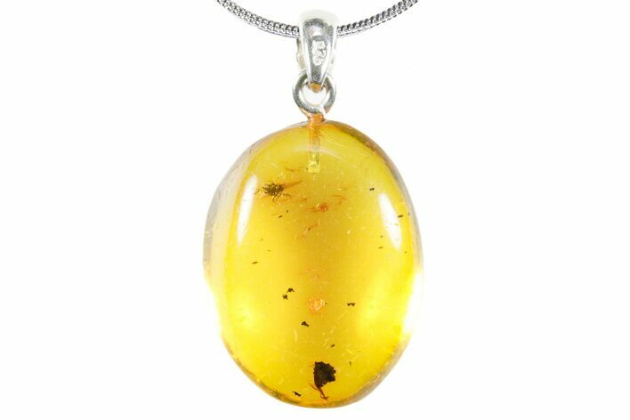 Polished Baltic Amber Pendant (Necklace) - Contains Insect! #352989